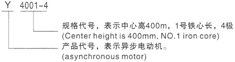 西安泰富西玛Y系列(H355-1000)高压YJTFKK400-6A三相异步电机型号说明