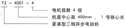 YR系列(H355-1000)高压YJTFKK400-6A三相异步电机西安西玛电机型号说明